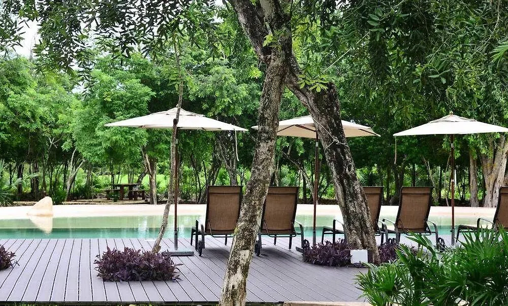 Pure All Suites Riviera Maya Playa del Carmen